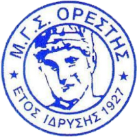 Team Flag Logo