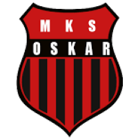 Team Flag Logo