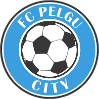 Team Flag Logo