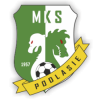 Team Flag Logo