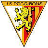 Team Flag Logo
