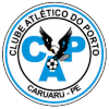 Team Flag Logo