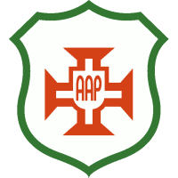 Team Flag Logo