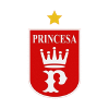 Team Flag Logo
