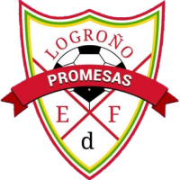 Team Flag Logo