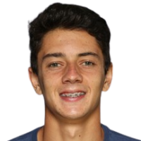 Пучинелли де Алмейда М.