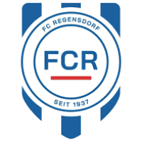Team Flag Logo
