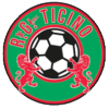 Team Flag Logo