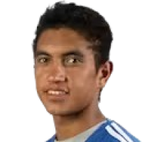 Ribeiro de Almeida G.