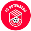 Team Flag Logo
