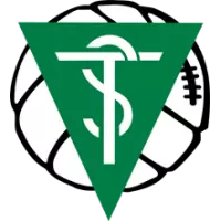 Team Flag Logo