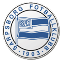 Team Flag Logo