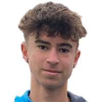 Шаер Р