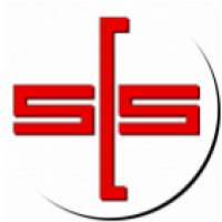 Team Flag Logo