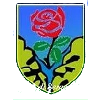 Team Flag Logo