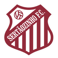Team Flag Logo