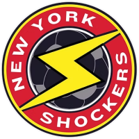 Team Flag Logo