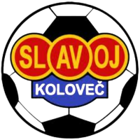 Team Flag Logo