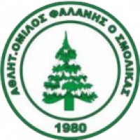 Team Flag Logo