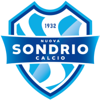 Team Flag Logo