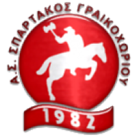 Team Flag Logo
