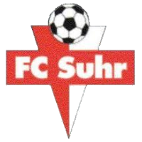 Team Flag Logo