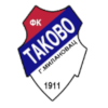 Team Flag Logo