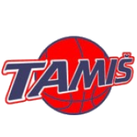 Тамиш