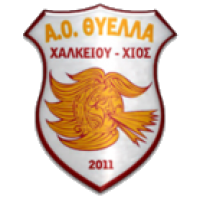 Team Flag Logo