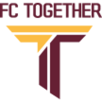 Team Flag Logo