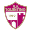 Team Flag Logo