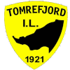 Team Flag Logo