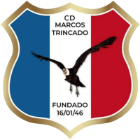Team Flag Logo