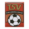 Team Flag Logo
