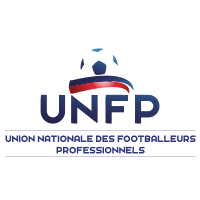 Team Flag Logo