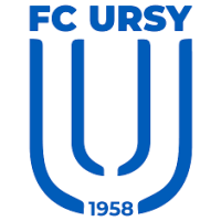 Team Flag Logo