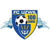 Team Flag Logo