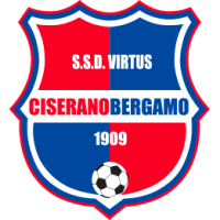 Team Flag Logo