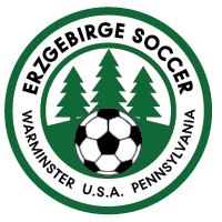 Team Flag Logo