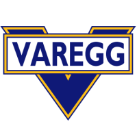 Team Flag Logo