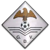 Team Flag Logo