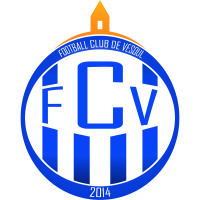 Team Flag Logo