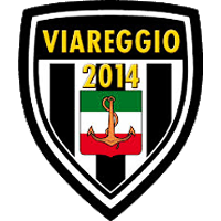 Team Flag Logo