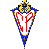Team Flag Logo