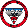 Team Flag Logo