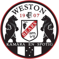 Team Flag Logo