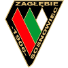 Team Flag Logo