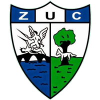 Team Flag Logo